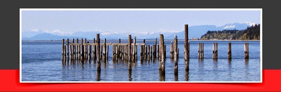 Julius Realty Point Roberts WA